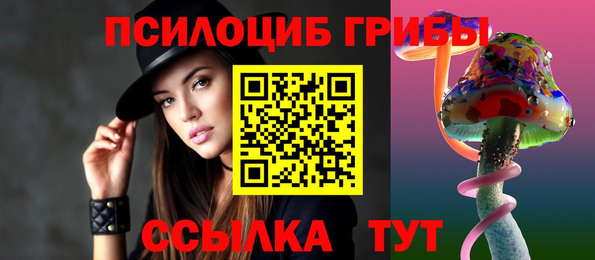 купить наркоту  Галлюциногенные грибы MAGIC MUSHROOMS  Вход с VPN  Алейск 